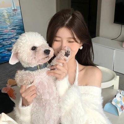藏獒多吉