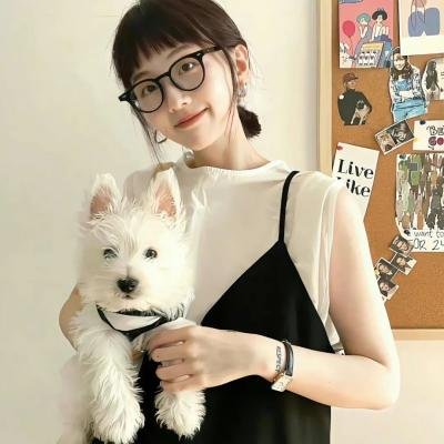副总统第四季